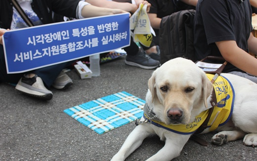 '시각장애인 특성을 반영한 서비스지원종합조사를 실시하라' 현수막 밑에 앉아있는 안내견.ⓒ에이블뉴스DB